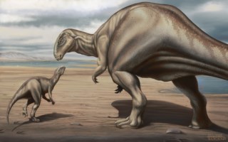 Nova espécie de dinossauro descoberta em Portugal: um peso-pesado do Jurássico