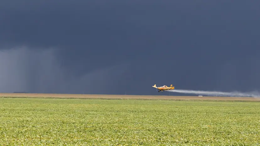 Lei da Reciprocidade: Protetora do Agro Brasileiro em Tempos de Barreiras Comerciais