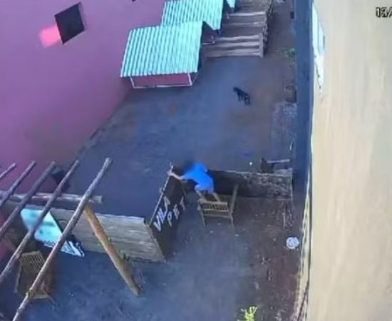 O que os crimes de uma criança revelam sobre a sociedade?