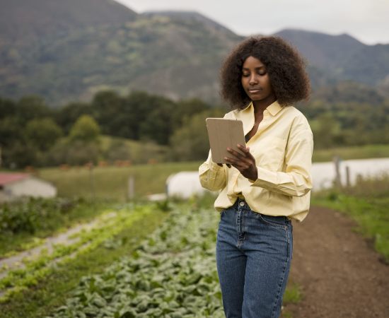 Como o Agronegócio Está Transformando a Economia Brasileira