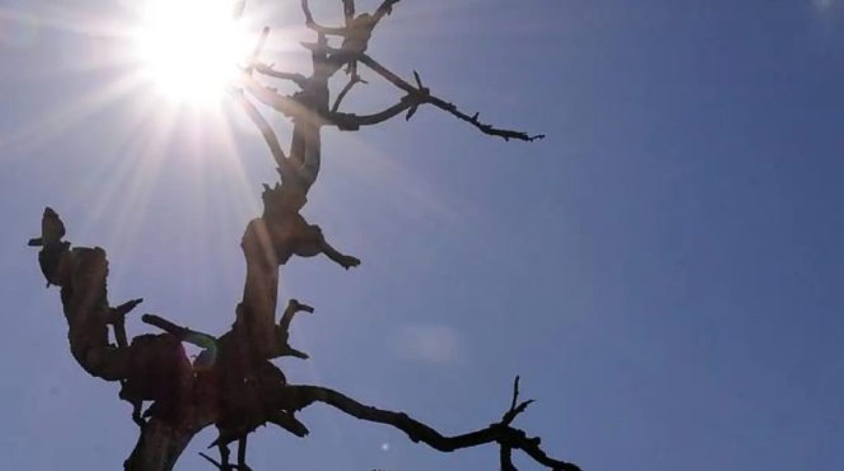 Censura, Perseguição e Seca: O Brasil em Crise