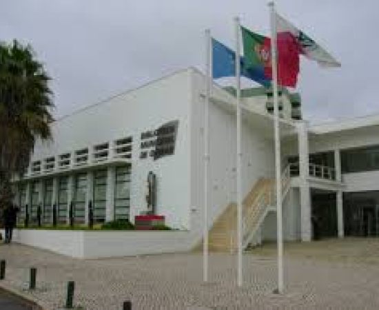 Biblioteca Municipal de Oeiras: Espaço de Silêncio e Promoção da Literatura