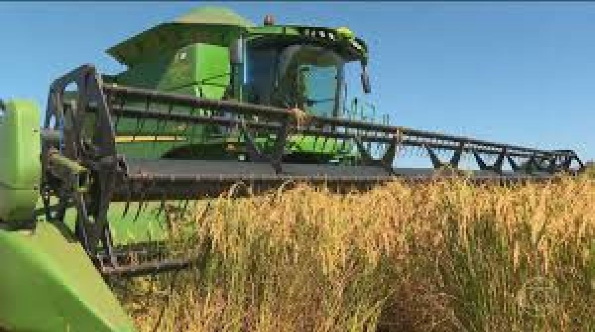 Governo libera R$ 7,1 bilhões para escoamento da safra recorde em 2025