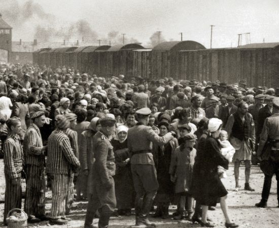 Histórias de judeus expulsos de países árabes e sua luta por reconhecimento