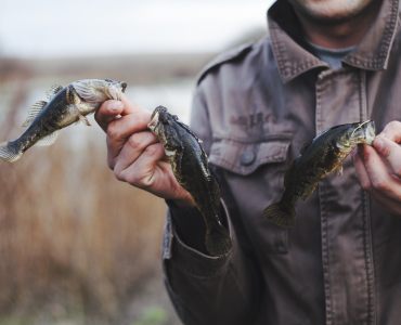Quaresma: O Crescente Consumo de Peixes e Seus Desafios no Agronegócio