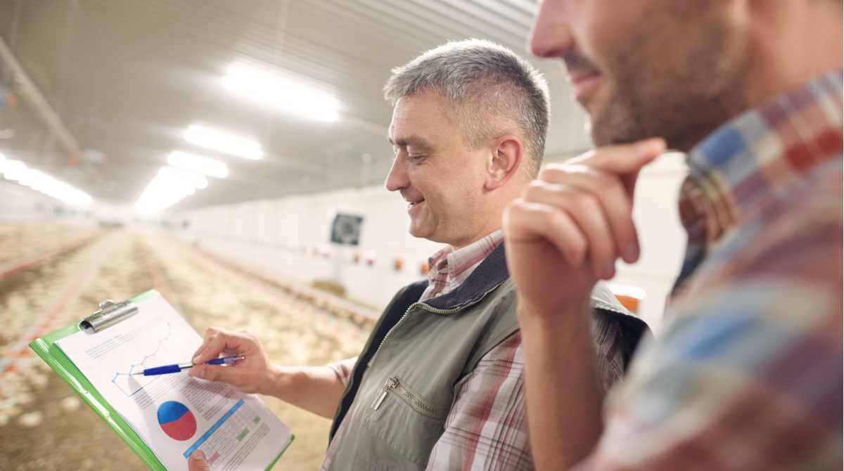 Investidores Olham com Cuidado para o Agro: Oportunidades e Desafios no Setor