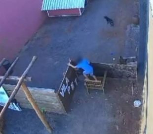 Garoto de 9 Anos Mata 23 Animais: Uma Análise Libertária do Caso Chocante