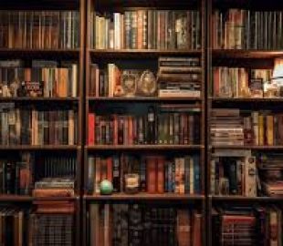 Biblioteca Municipal de Portalegre: Uma Casa de Emoções e Memórias