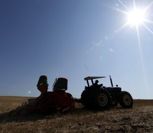 Indígenas do Brasil Lutam pelo Direito de Cultivar Transgênicos Sem Restrições