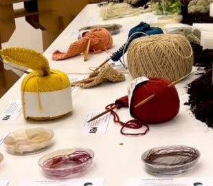 Oportunidades da Bioeconomia na Amazônia: Renda, Conservação e Tradição Cultural