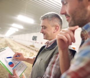 Investidores Olham com Cuidado para o Agro: Oportunidades e Desafios no Setor