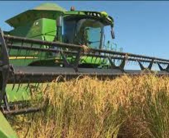 Governo libera R$ 7,1 bilhões para escoamento da safra recorde em 2025