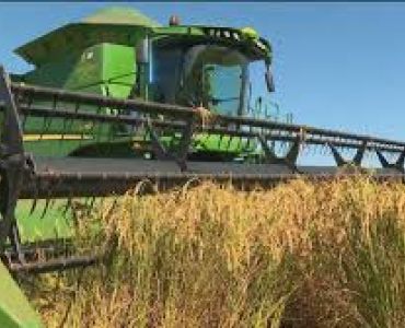 Governo libera R$ 7,1 bilhões para escoamento da safra recorde em 2025