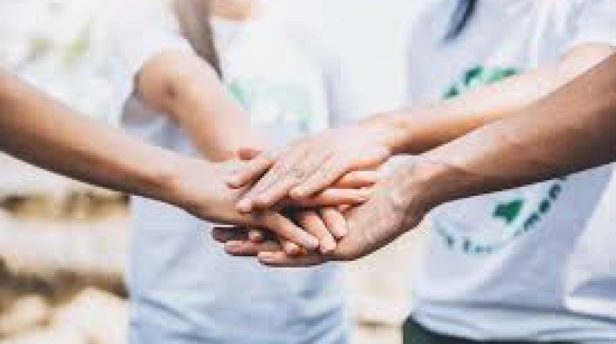 A Importância da Preparação em Voluntariado para Saúde Mental