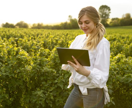 Desafios e Oportunidades no Agronegócio: O que Você Precisa Saber