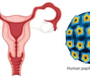 HPV: O vírus que afeta milhões e os riscos associados à falta de informação