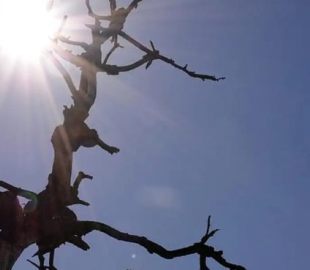 Censura, Perseguição e Seca: O Brasil em Crise