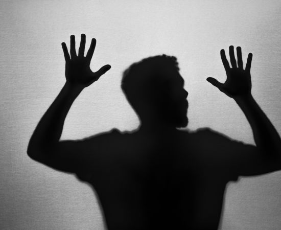 Fascismo e a Retórica da Empatia Suicidária: Um Retorno às Sombras da História