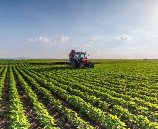 Essa é para você que diz que a culpa é do Agro!