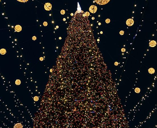 Programação Cultural de Natal: Concertos e Reflexões em Lisboa e Porto