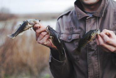 Quaresma: O Crescente Consumo de Peixes e Seus Desafios no Agronegócio