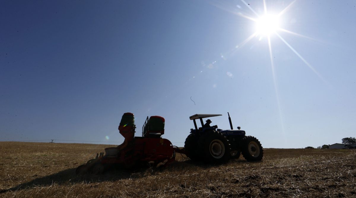 Indígenas do Brasil Lutam pelo Direito de Cultivar Transgênicos Sem Restrições