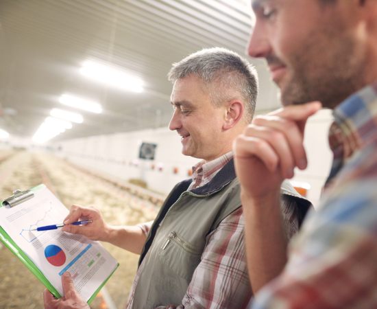 Investidores Olham com Cuidado para o Agro: Oportunidades e Desafios no Setor