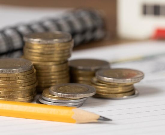 O Papel dos Bancos Estatais na Economia: Contribuição ou Obstáculo para o Crescimento?