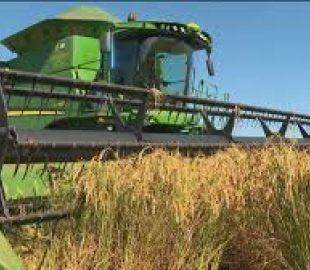 Governo libera R$ 7,1 bilhões para escoamento da safra recorde em 2025