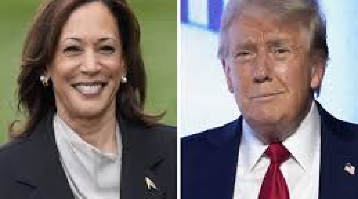 A Lua de Mel de Kamala Harris Acaba: O Que Está Acontecendo com o Apoio ao Seu Candidatura?