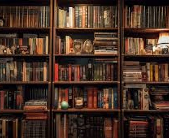 Biblioteca Municipal de Portalegre: Uma Casa de Emoções e Memórias