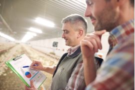 Investidores Olham com Cuidado para o Agro: Oportunidades e Desafios no Setor