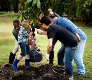 Cascais: Plantando Árvores para um Futuro Sustentável e Global