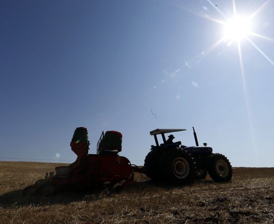 Indígenas do Brasil Lutam pelo Direito de Cultivar Transgênicos Sem Restrições