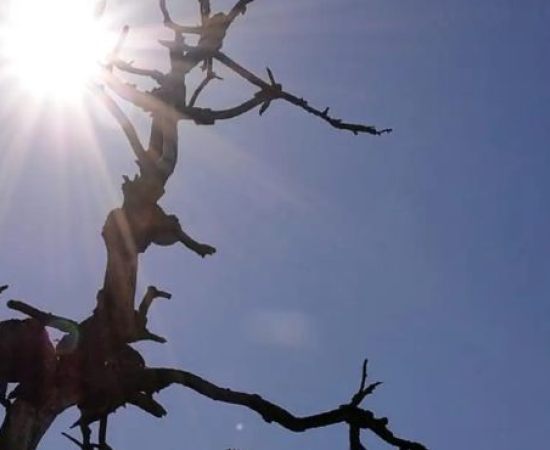 Censura, Perseguição e Seca: O Brasil em Crise