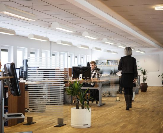 A importância do seguro empresarial: protegendo o futuro do seu negócio