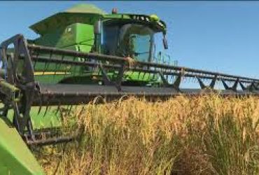 Governo libera R$ 7,1 bilhões para escoamento da safra recorde em 2025