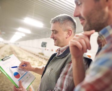 Investidores Olham com Cuidado para o Agro: Oportunidades e Desafios no Setor